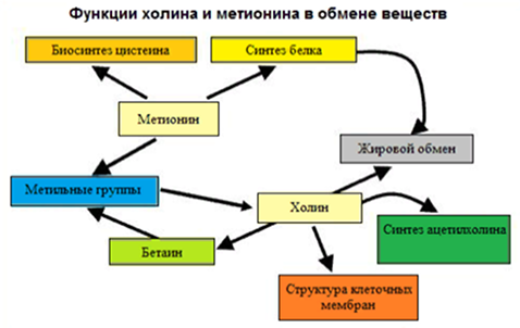 image 113.png